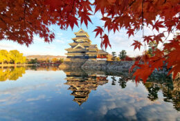 Japan_Autumn_2025 (16/47)